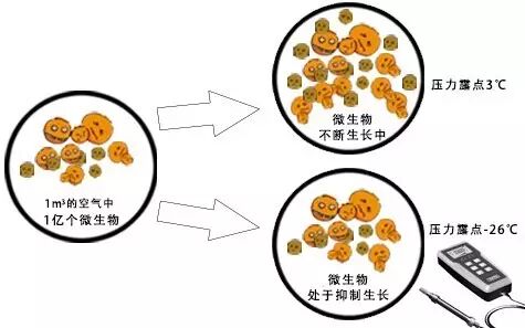 应用 | 食品及制药产业用压缩空气
