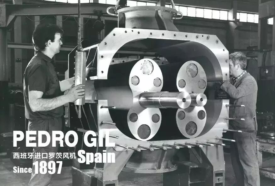 “风”生“水”起 西班牙PEDRO GIL坚守品质高地