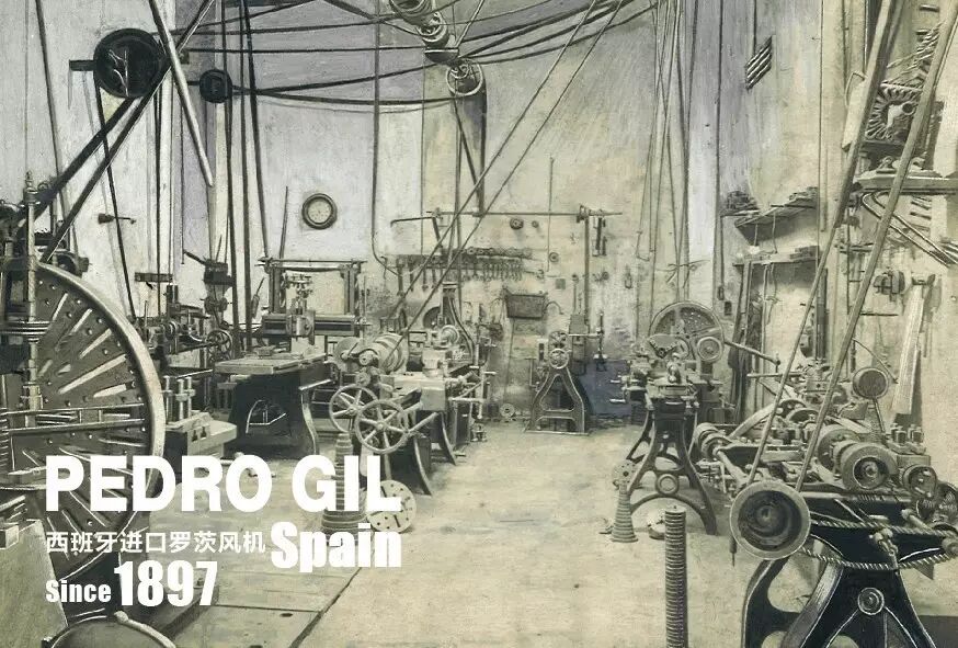 “风”生“水”起 西班牙PEDRO GIL坚守品质高地